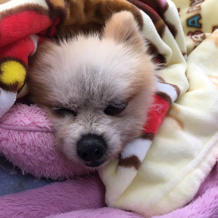 66d5e009 9aa1 4c47 b850 4795d722f4bd