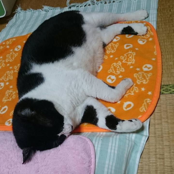 66d6c2d0 a72d 4419 a404 1a99e361b89a