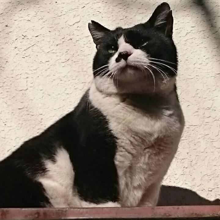 66d6d4b8 f099 4ea4 bdc1 10ebf137948f