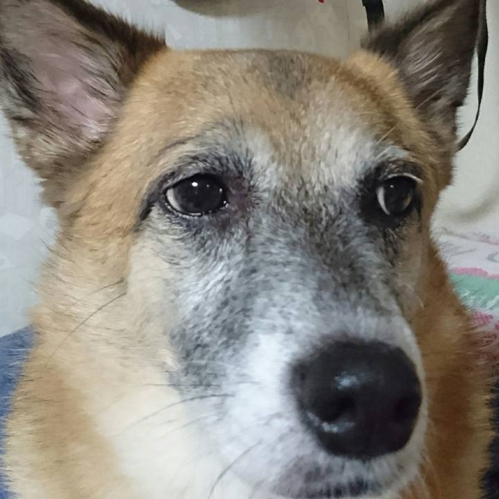 66d7b7e8 335f 4cb2 83a3 86be441cd3f5