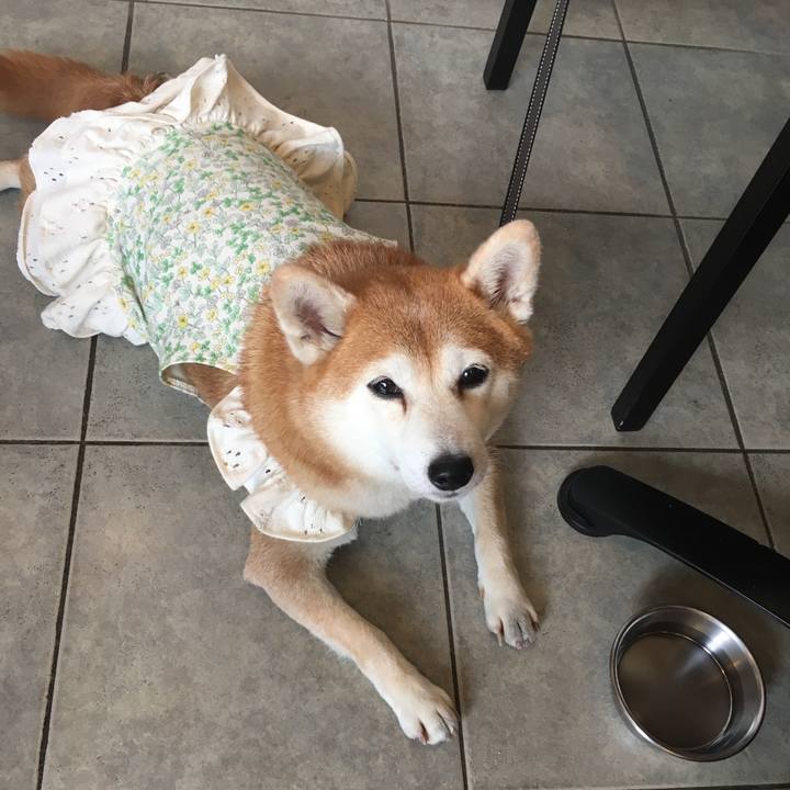 66d7c926 1553 49a6 8776 a832efe52bf3