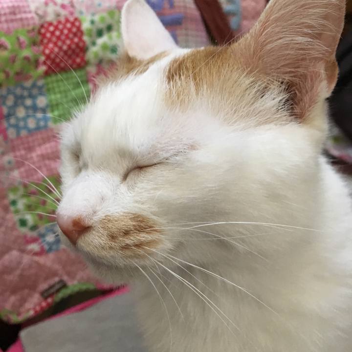 66d7dd27 c1c6 40e7 a6b8 1f3e193e83b8