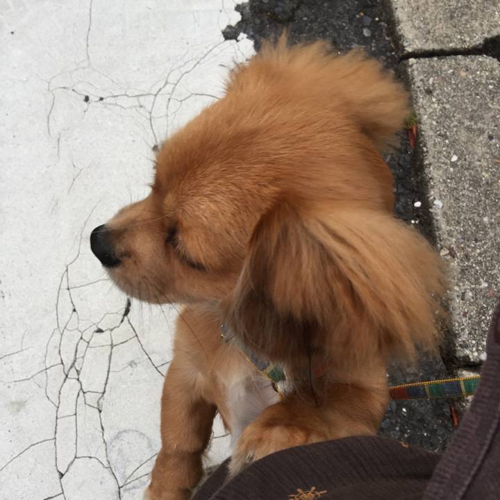 66d7ea63 c60f 44eb 93af abebb7fa3ffb