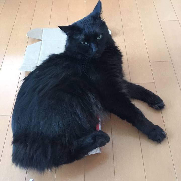 66d84ba9 2c95 41aa 8355 d408c79e67f9