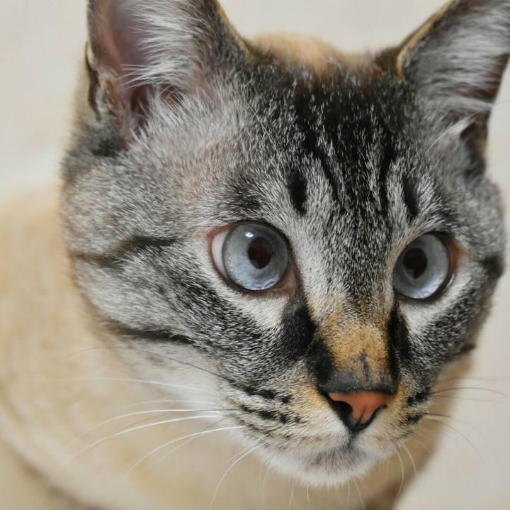 66d8772d 4582 4f4f 9dcb b14fed627411