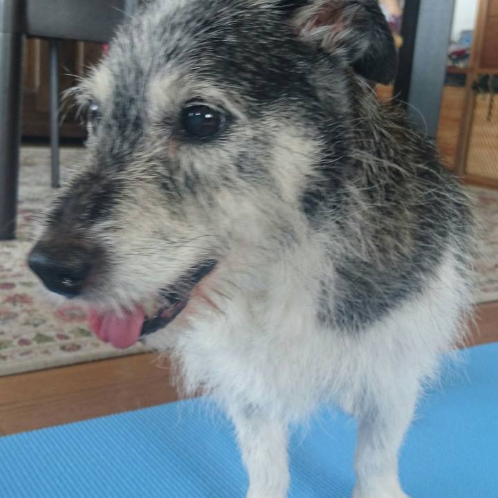 66d90f0f 16b4 4bc1 898a 7ae302db0b3a