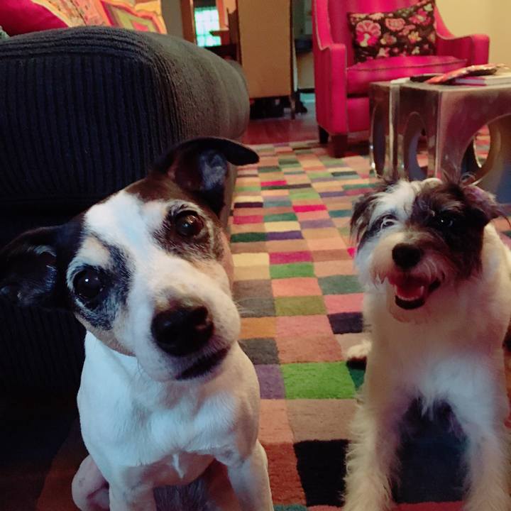 66d92bbf 13e7 406d 98c1 4c702b543733