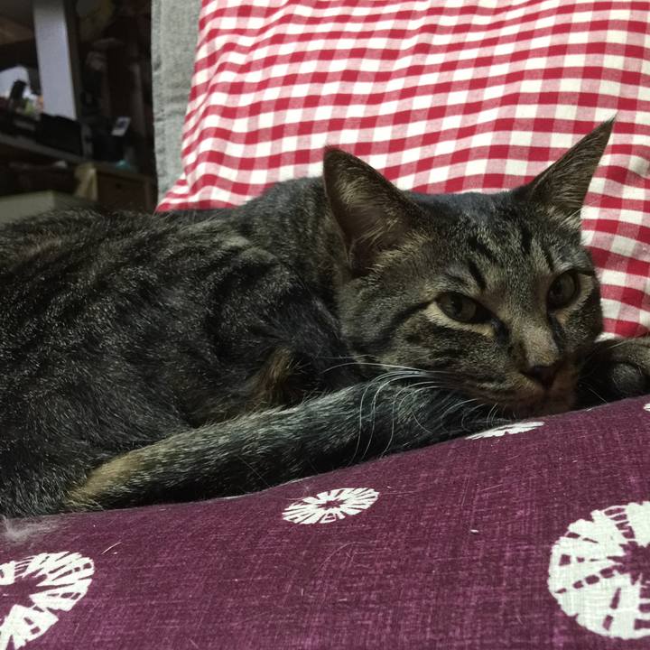 66d9687c 2eab 4823 936e 4dedea96660f