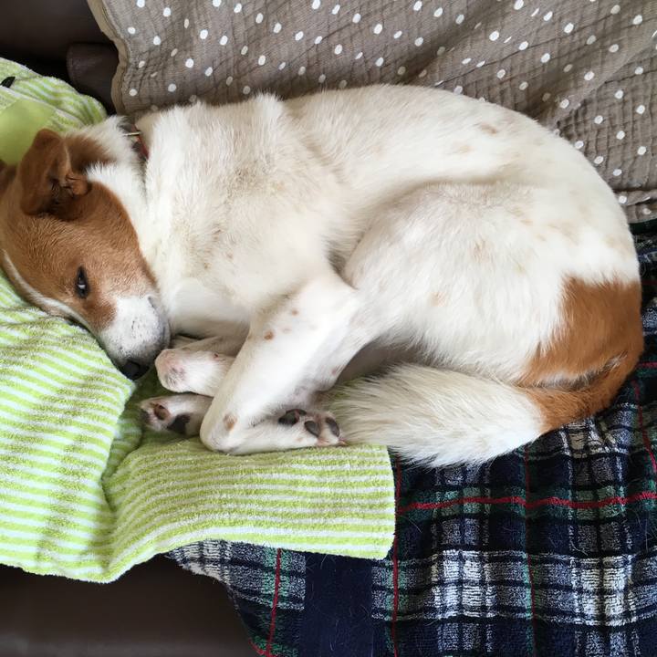 66d99e8d 6f08 4f4d 9d34 a2aac9688345