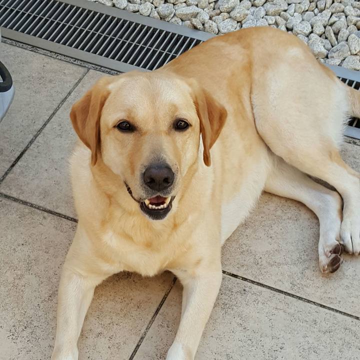 66da07b1 f6f0 4fa5 b7ee 455a5dc61ba0