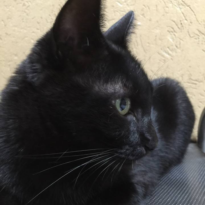 66da223f 298b 42f7 8450 2bcf36fa5e1d