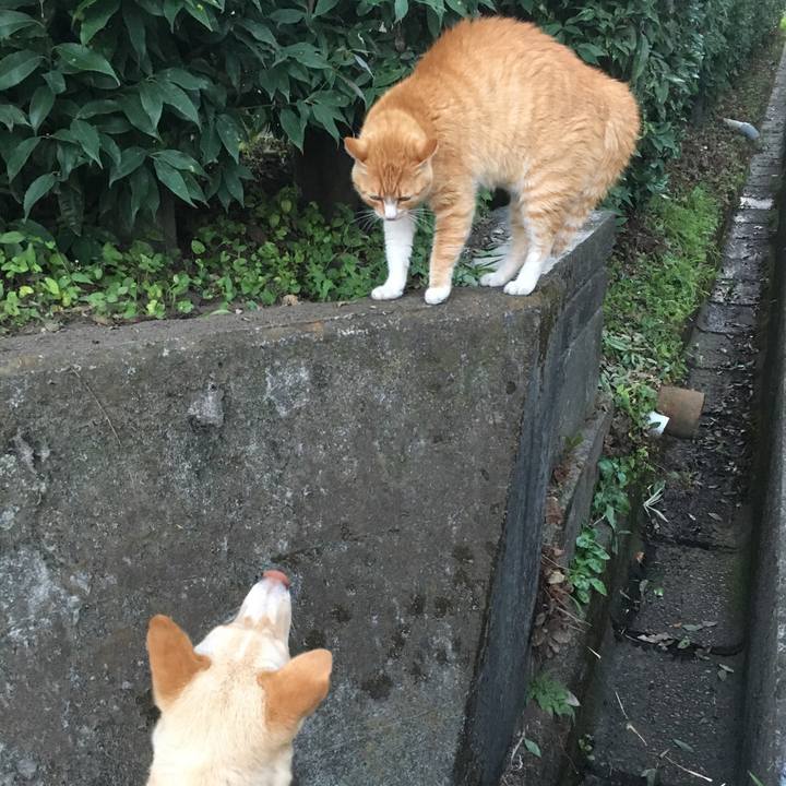 66da252a af85 434e 804e dabb856a2655