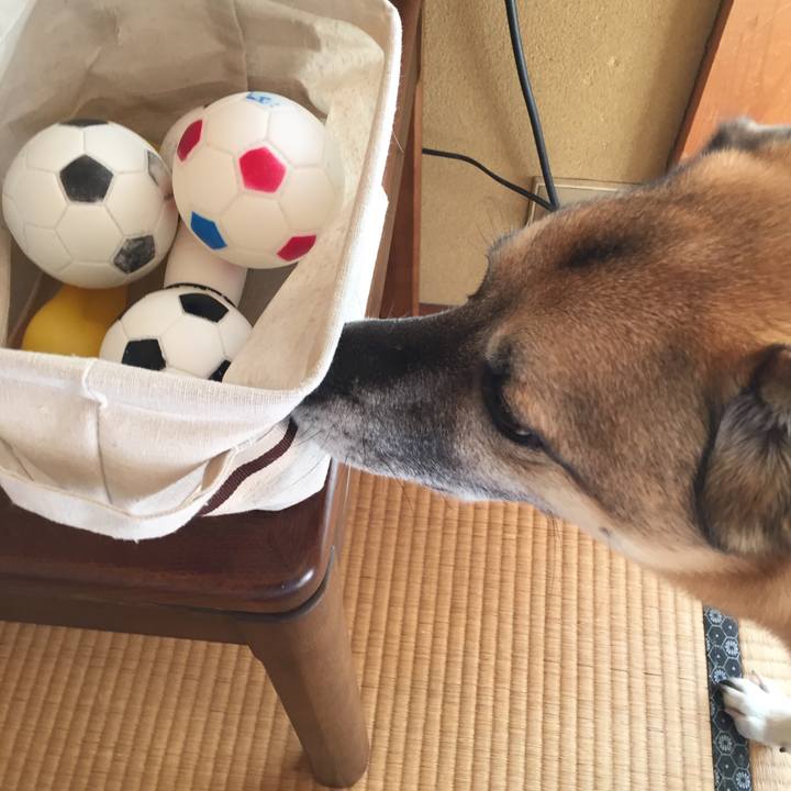 66da830f a601 4e0b 8d45 4d46861c99e6