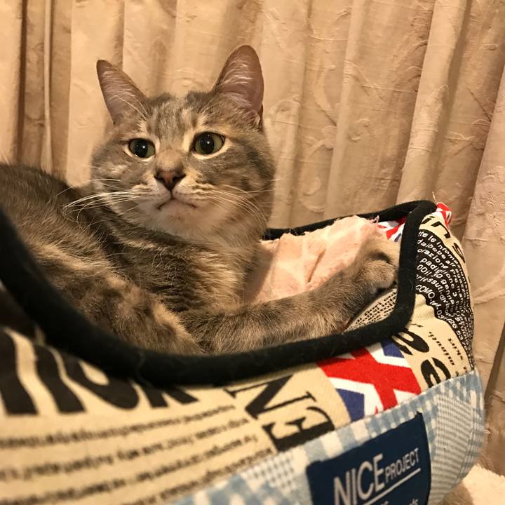 66db9480 320d 44fb a22e ccab49d791d5