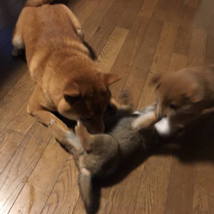 66dbc173 0325 447f 8bbe 003f021d581e