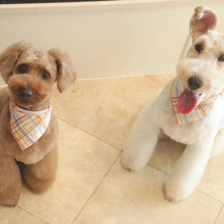 66dbd030 3a40 4aa0 9cf9 6042de7aa979