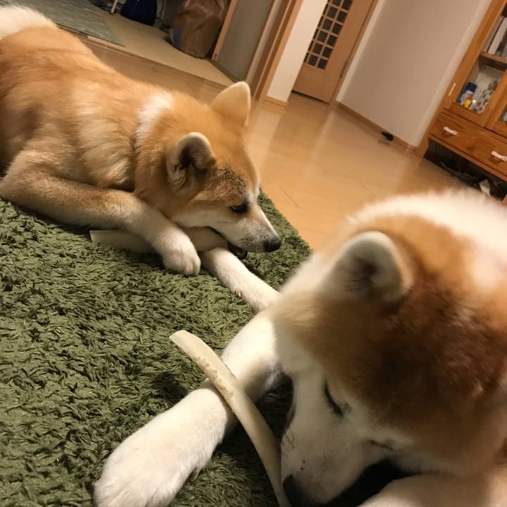 66dc3ad7 a9b7 4fe1 b65c ea89d22fa39f