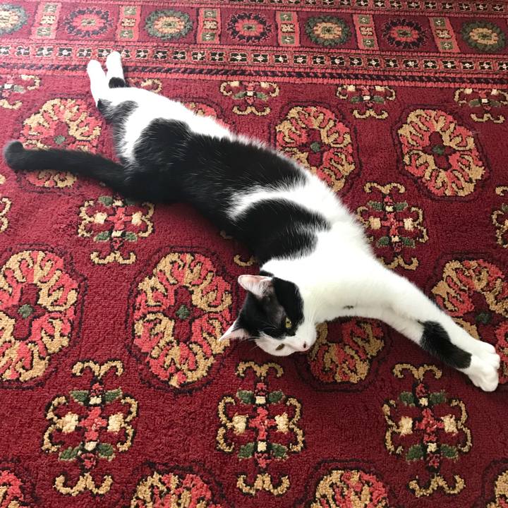 66dccb83 b737 42af b919 f157c98e494d