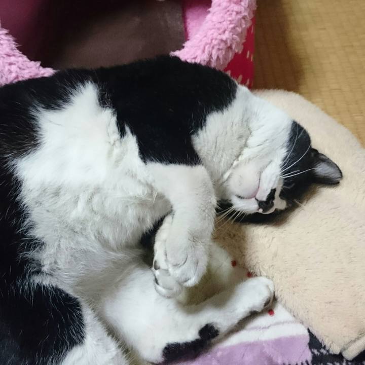 66dcf2c8 0f5a 4564 8750 56f0b5ef2fa3