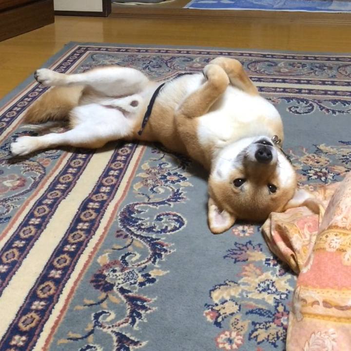 66dd2fe7 95bd 47e9 b445 a87db7d6da99