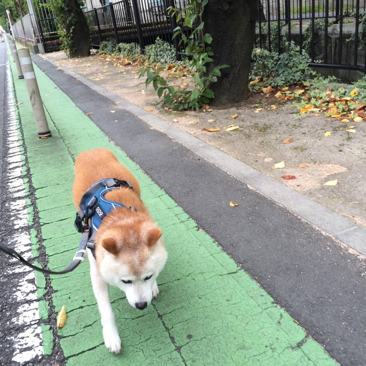 66dd9615 a990 4ce1 b2d9 7d257e650692