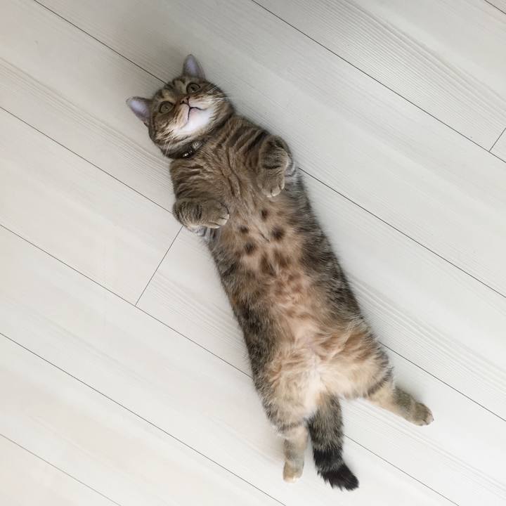 66dda574 fd60 409b 8522 5b507c0ab15d