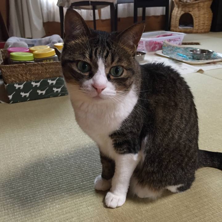 66ddbc3a 0dcc 4e6a ad94 01c51b30f6e5