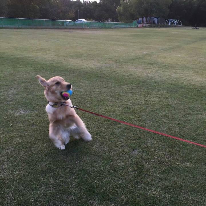 66de40ad 038b 4f08 9c72 ebfd51c8c8c6