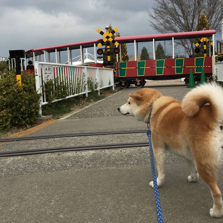 66de6eca 81c4 4081 8c49 5e2f0676306b