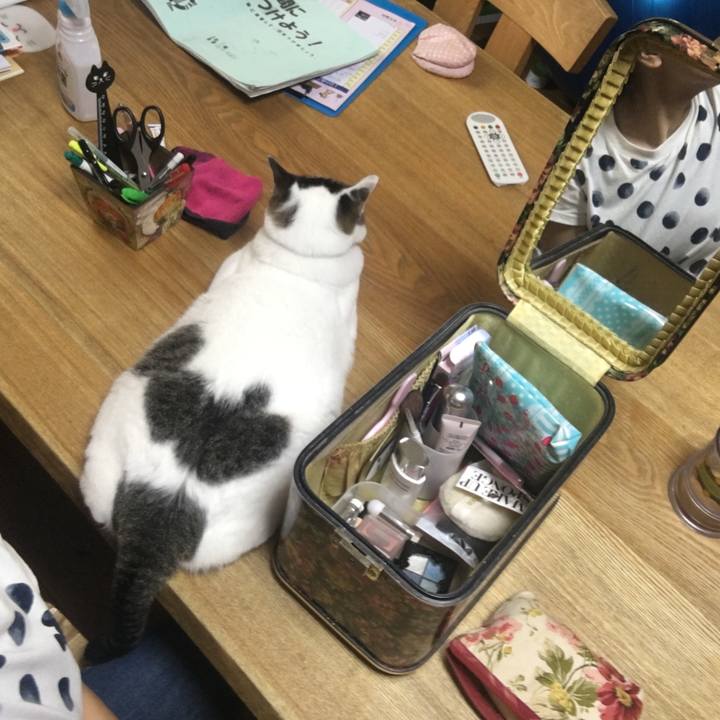 66de9cbb f122 4ef5 9130 89fcbbd95b4d