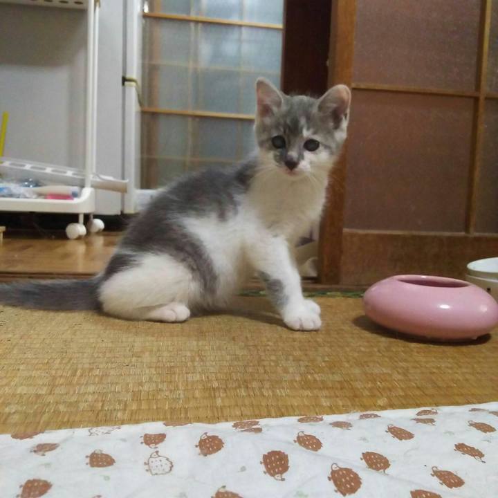 66dea9c9 cccc 414d be25 a8cb2f63caac