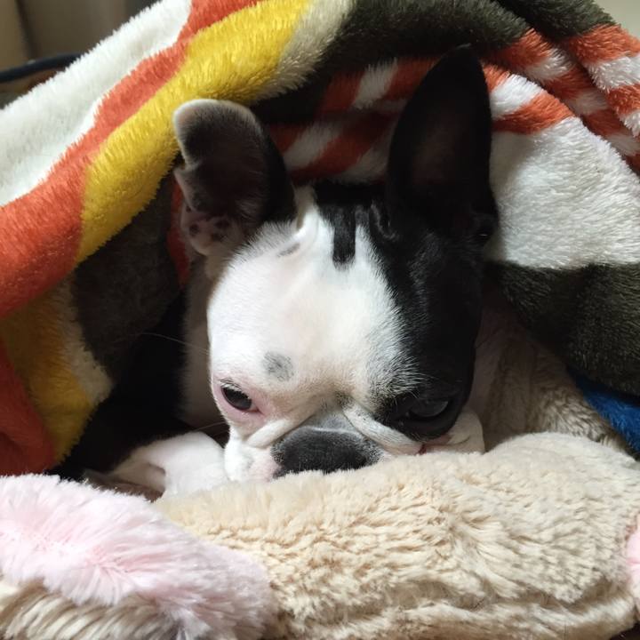 66e08e15 d4d9 4381 94d7 82bae4097f00