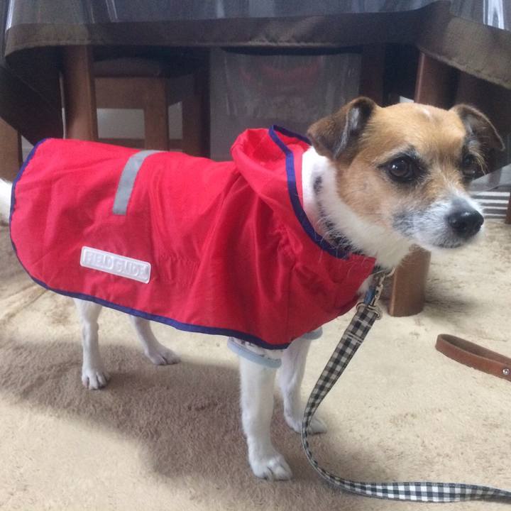 66e0bb0e 5f30 487c 9fea c81555b61b6c