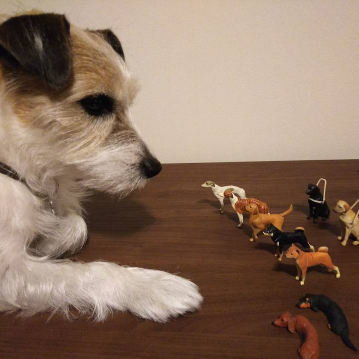 66e12986 2c85 43f7 9dd0 2c2e81d48d42