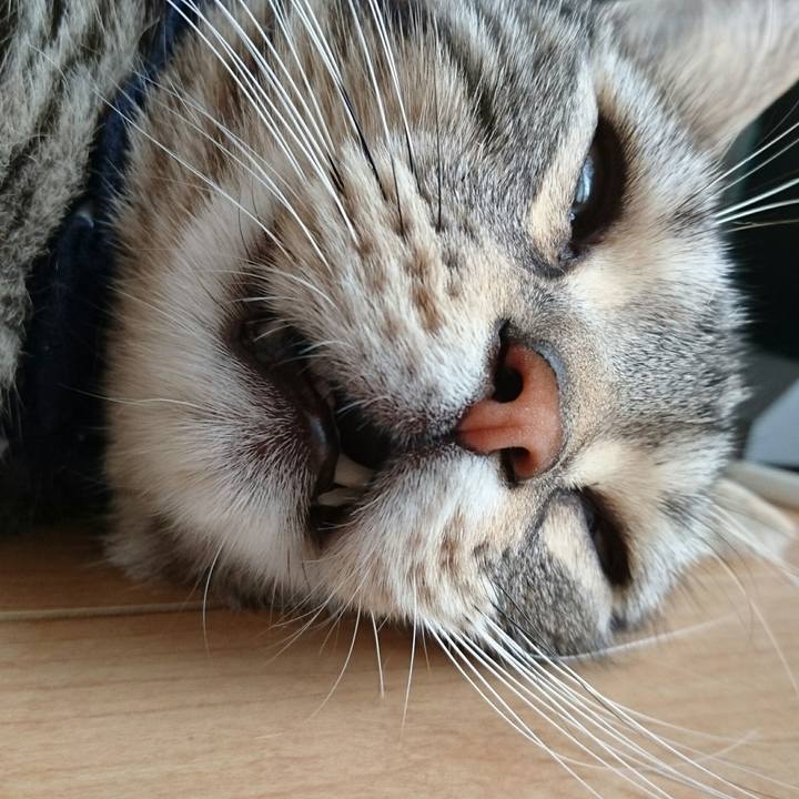 66e157cc 1bb7 430c a77b 506304c9b639