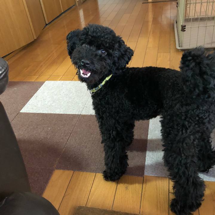 66e186cd 86a3 4c66 b2aa 86f9dd198240