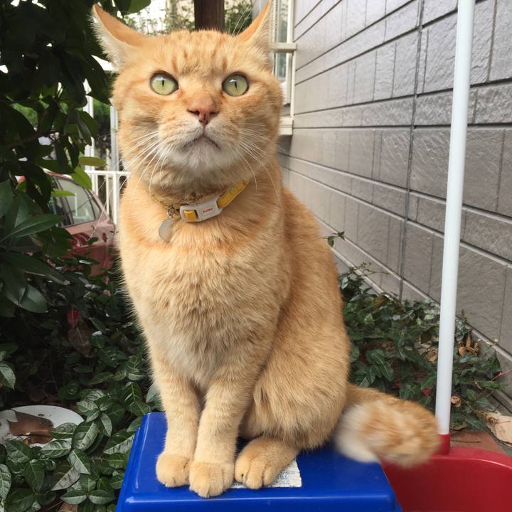 66e18ccc 9eab 419c 9217 dd35da148e1c