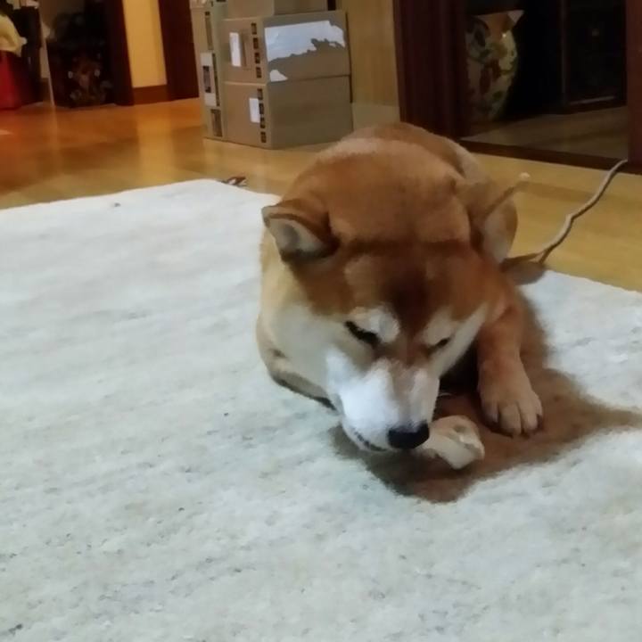 66e1c700 a18b 470f 8bc3 8fff5349be3c