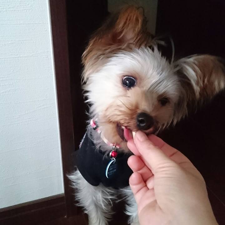 66e26a3c 5c35 4429 bd0a b2380c6abe4f