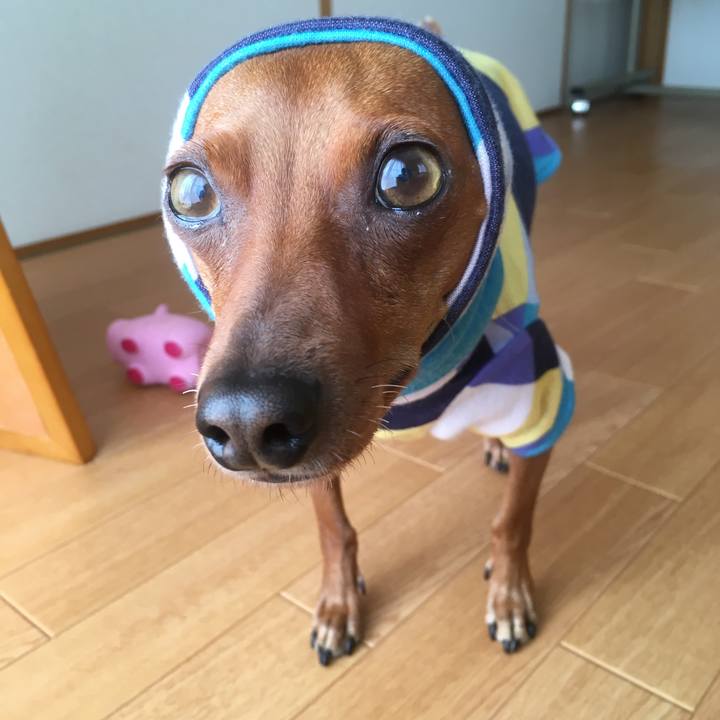 66e3ae47 19ab 4520 9392 5573a56388c4