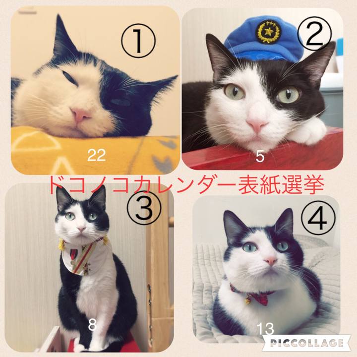 66e3ec71 fae4 4c0e 8038 f94303bc7463