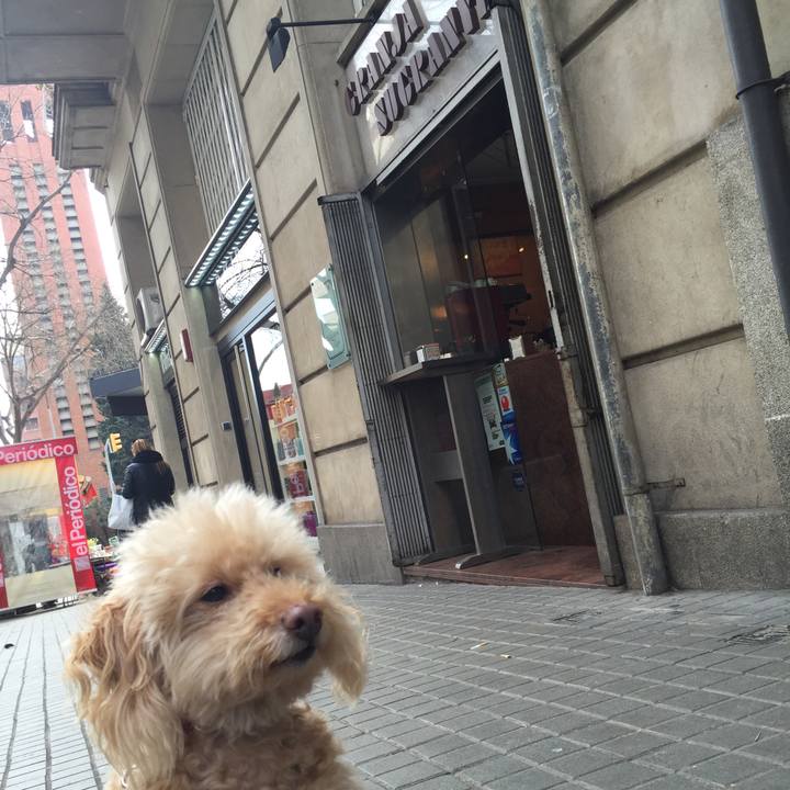 66e5765c 3bb4 45da 865c 9de3c5e18922