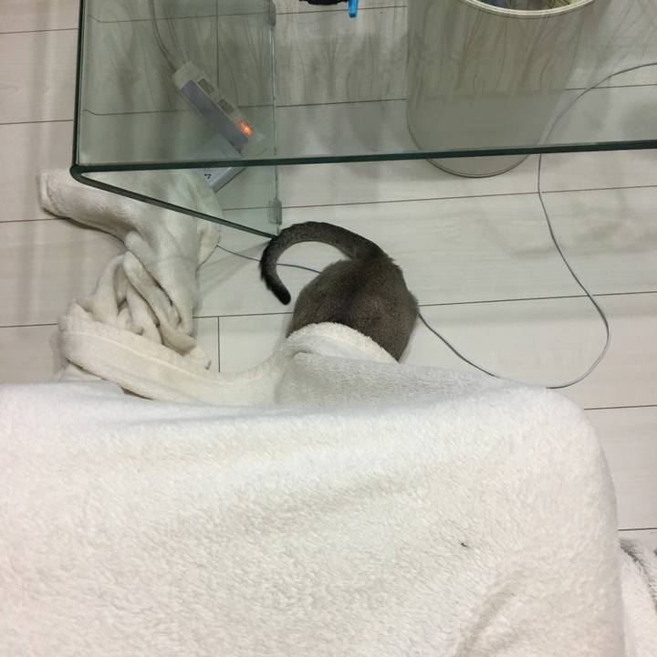 66e5a06b 263e 455d aa08 69c2f5c6a3ea