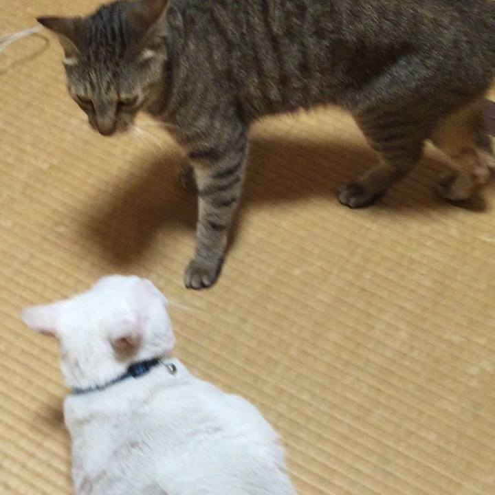 66e5b5fc 7ad9 4c14 bbd1 d156e80e661c