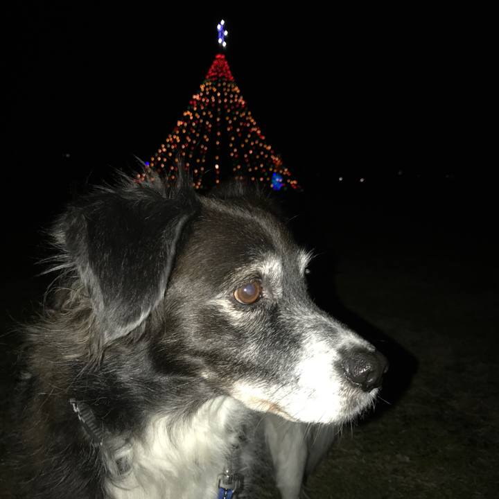 66e5c5c8 3021 4aa4 ad2a db87213278ed