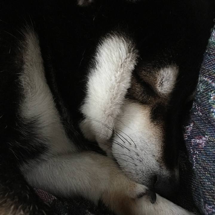 66e5eac5 6bc3 4c2b 98a3 5ca5e1170649