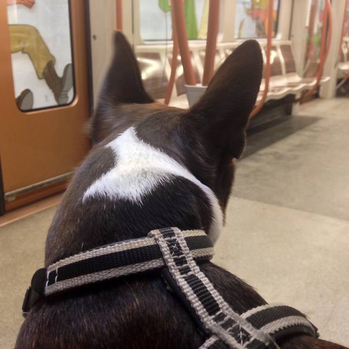 66e60227 7c24 40d4 81e6 d4c9935ff2c5