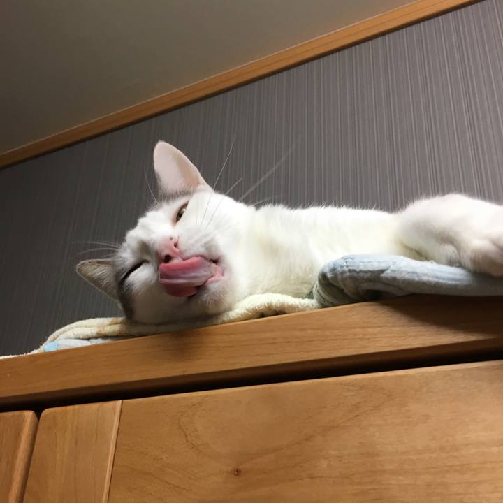 66e61c52 7a26 41eb a8c0 ad4d87e0259b