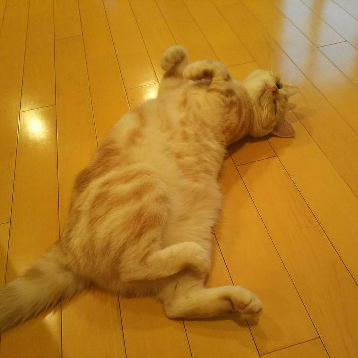 66e6236b f8d2 419c aec6 eb7354a61a1f