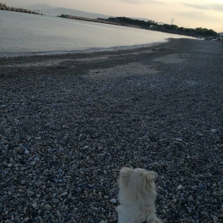 66e69681 4d3c 43d5 9106 50e6546bc4ee